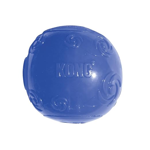 KONG SQUEEZZ BALL LARGE