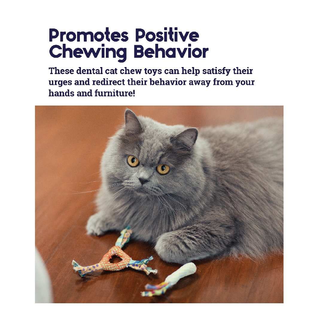 CATNIP DENTAL HEALTH CAT CHEW TOY 6X7 CM