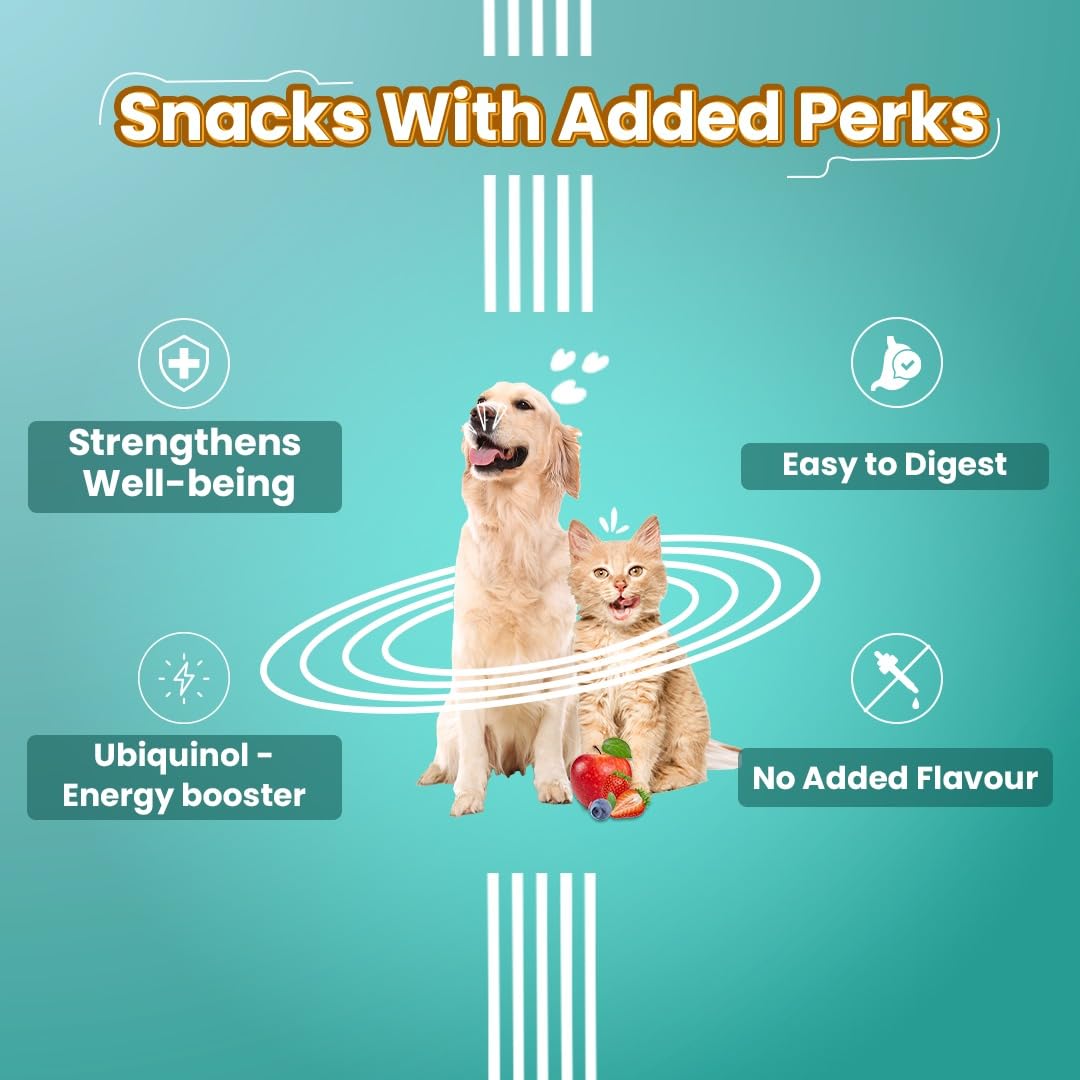 BOL MULTIVITAMIN IMMUNITY CHEWSTIX 100GM