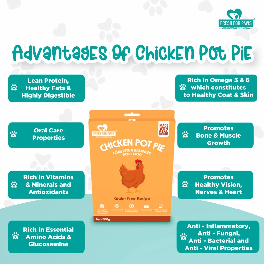 FRESH FOR PAWS CHICKEN POT PIE 100GM
