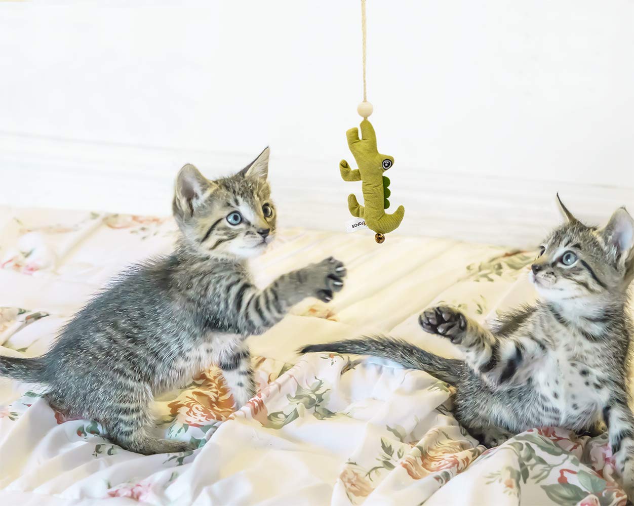 BARKBUTLER FOFOS MAGN TEASER CAKE