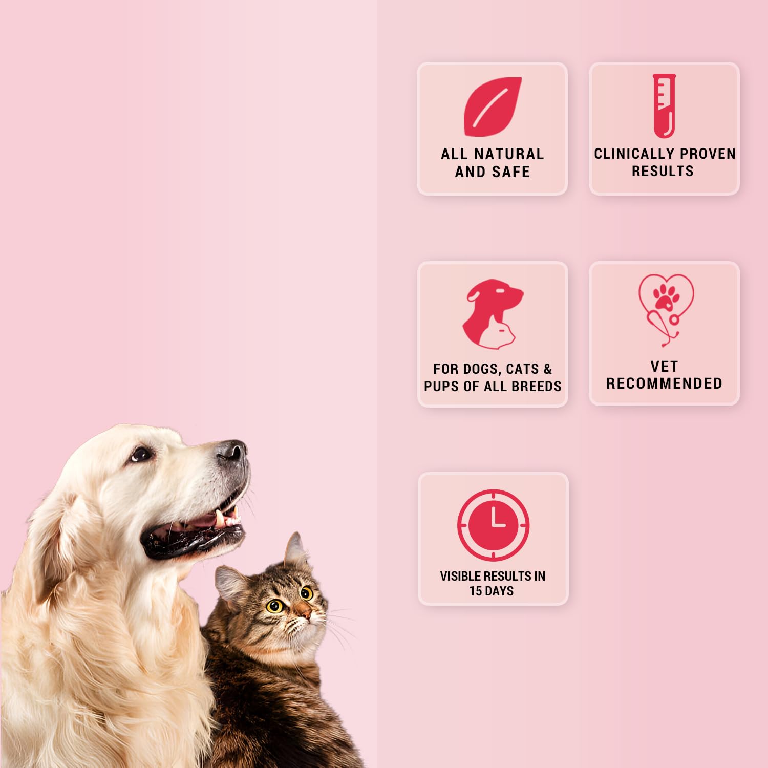 NATURAL REMEDIES NATGUT SACHET 4.2GRM