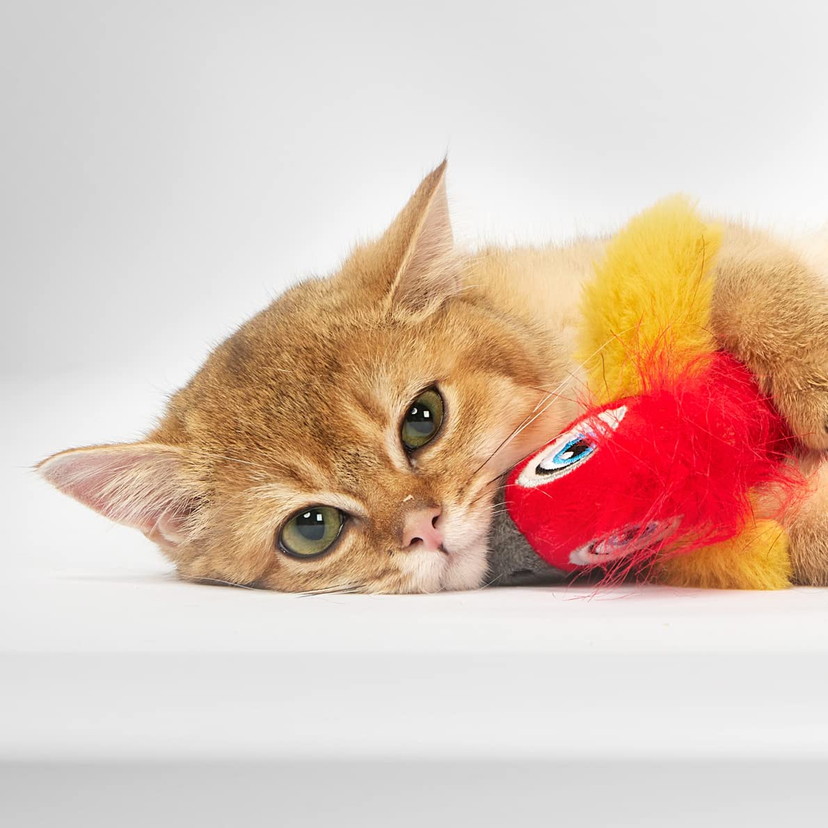 FOFOS PARROT WITH CATNIP BALLS