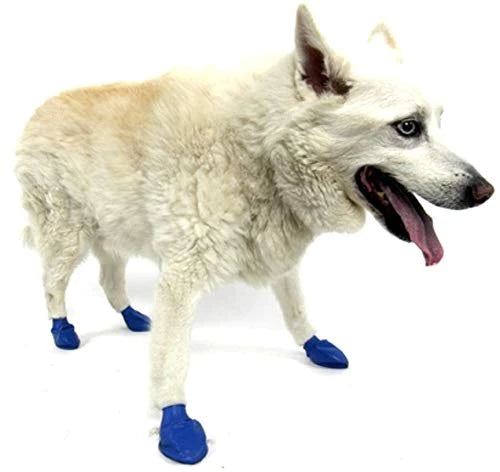 PROTEX PAWZ MEDIUM BLUE