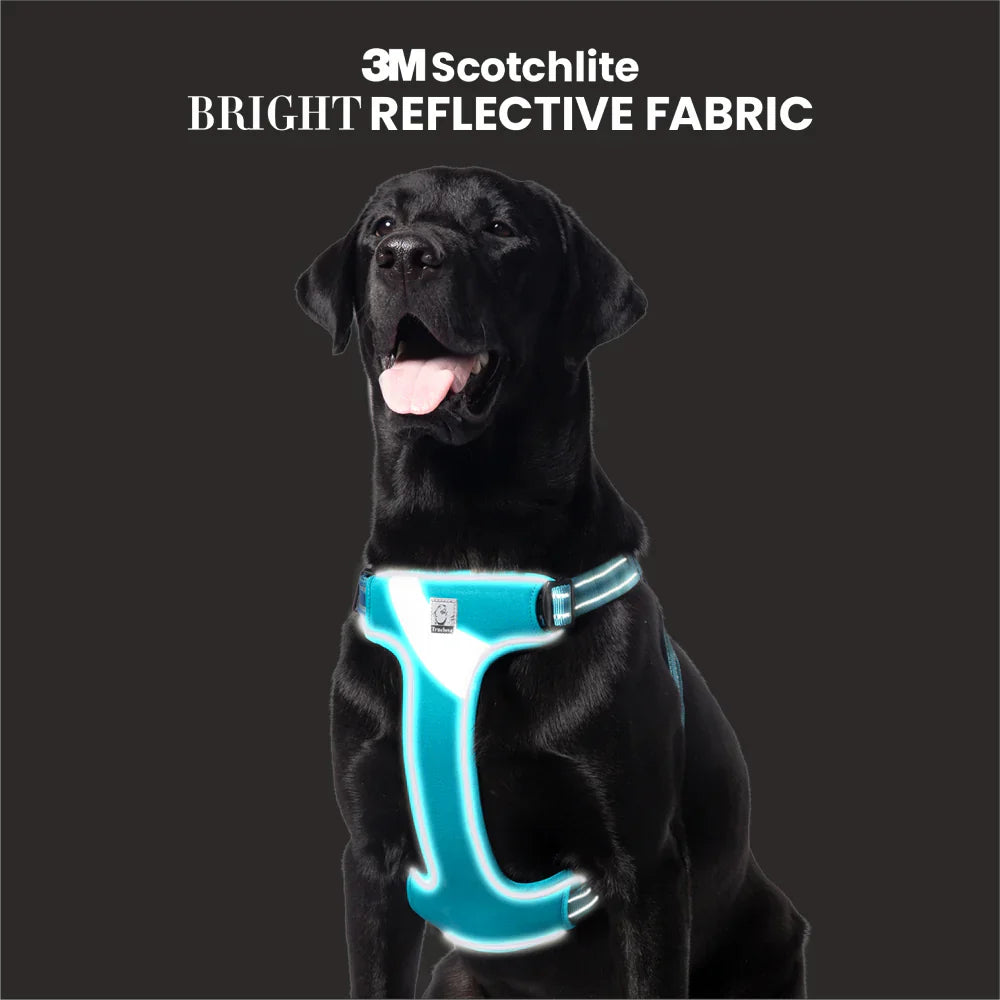 TRUELOVE STEP IN HARNESS WITH 3M L BLUE