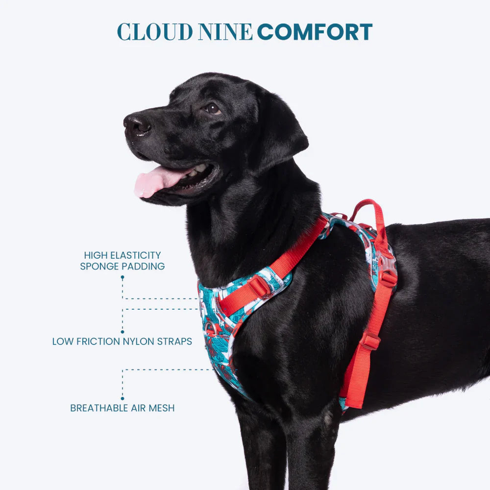 TRUELOVE SPECIAL EDITION STEP IN HARNESS L CAMOUFLAGE BLUE