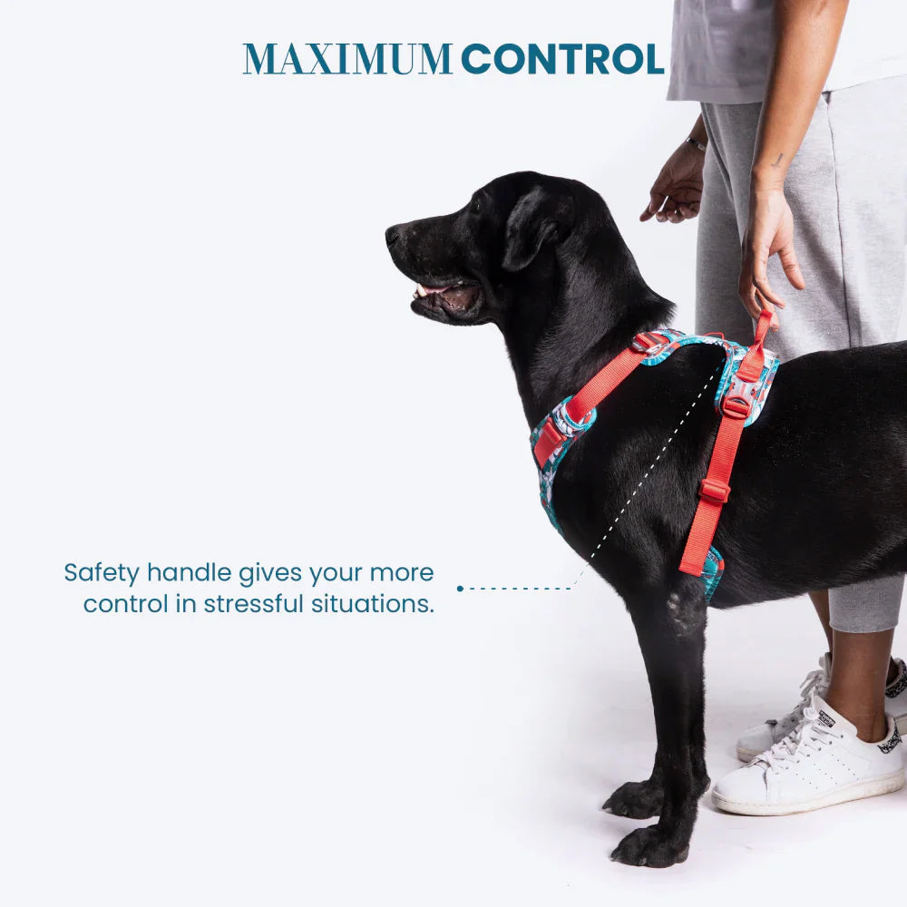 TRUELOVE SPECIAL EDITION STEP IN HARNESS L CAMOUFLAGE BLUE