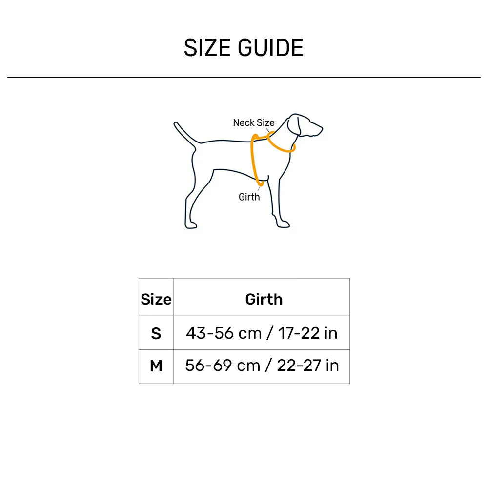 TRUELOVE STEP IN HARNESS WITH 3M L BLUE