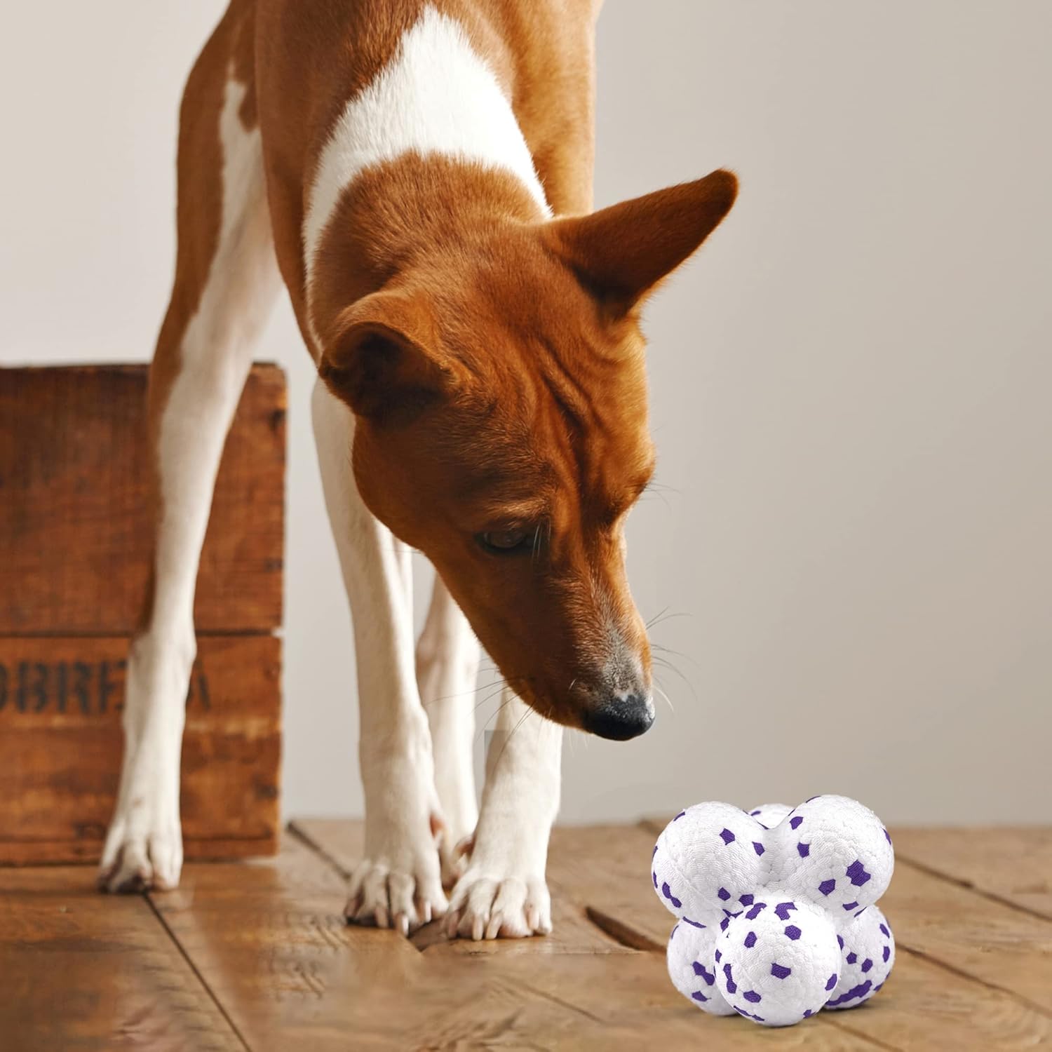 BARKBUTLER FOFOS SUPER BOUNCE BALL S WHITE PURPLE