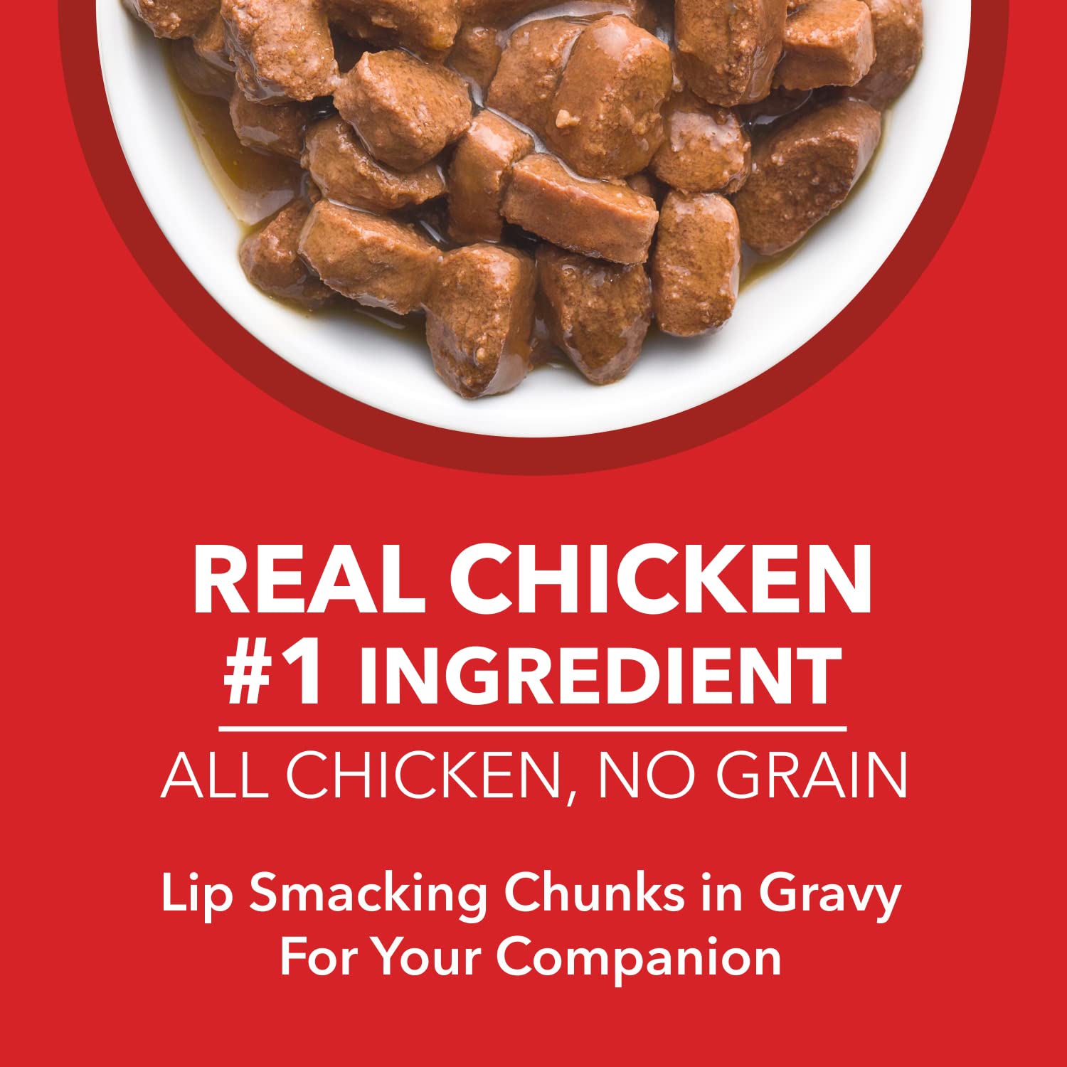 DROOLS PUPPY CHICKEN CHUNKS GRAVY 150GM