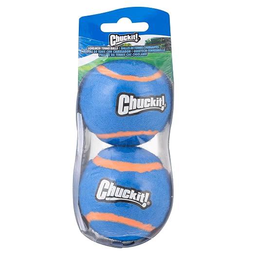 CHUCKIT TENNIS BALL 2PK MEDIUM