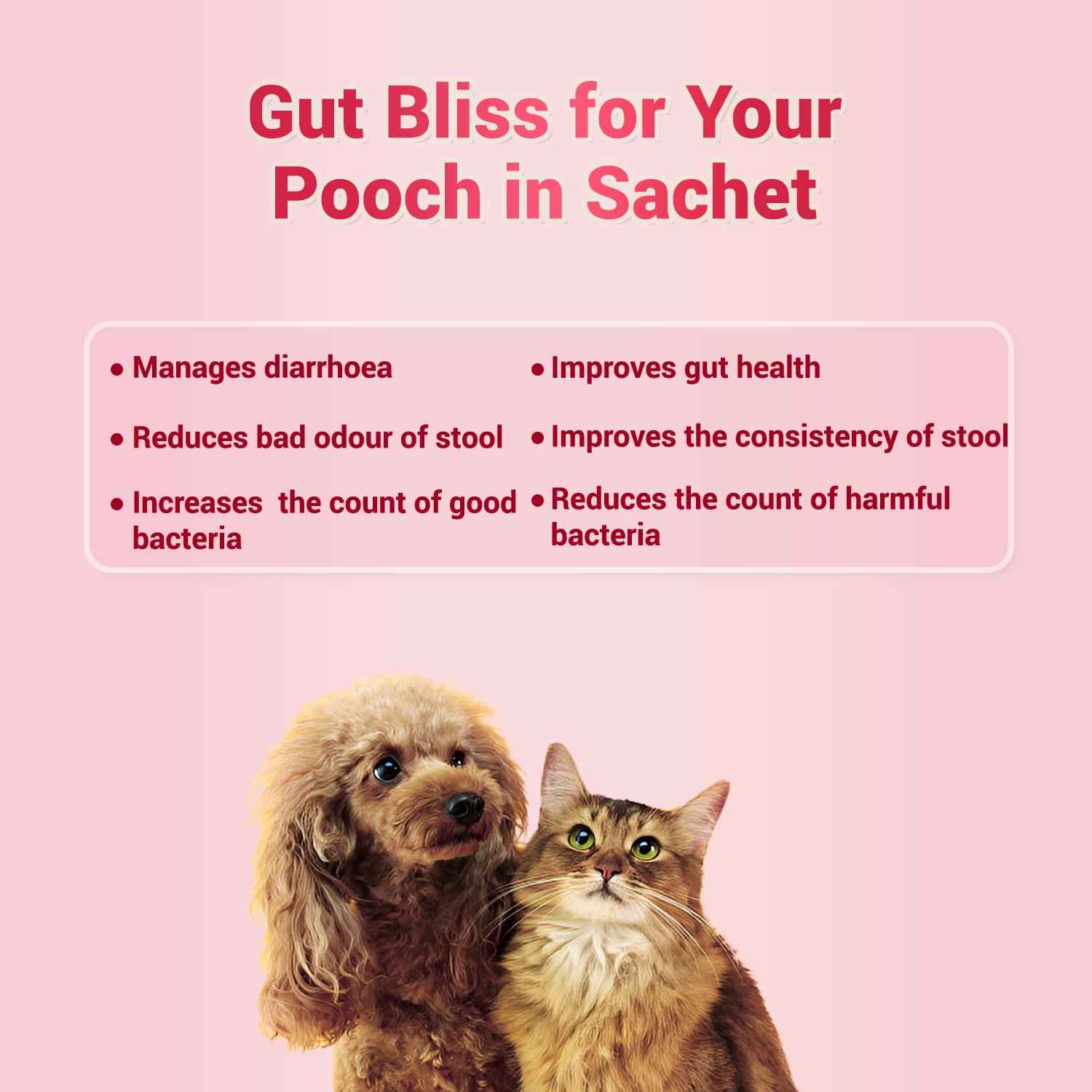 NATURAL REMEDIES NATGUT SACHET 4.2GRM