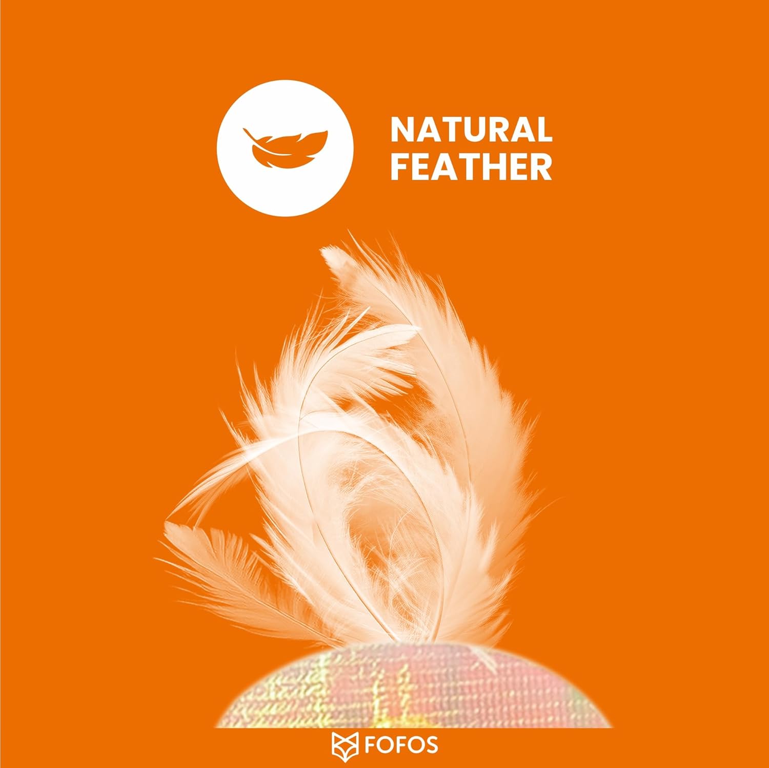 FOFOS CAT TEASER TOY 2ASST