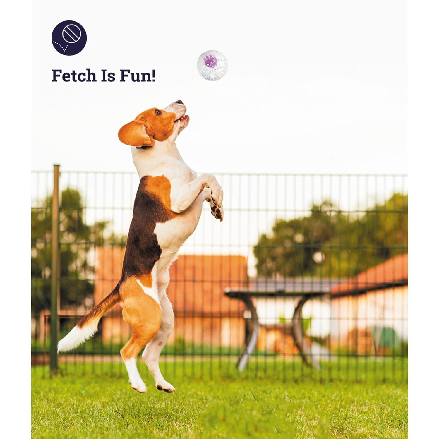 NUBBIEZ TREAT AND SQUEAK DOG BALL PURPLE LARGE