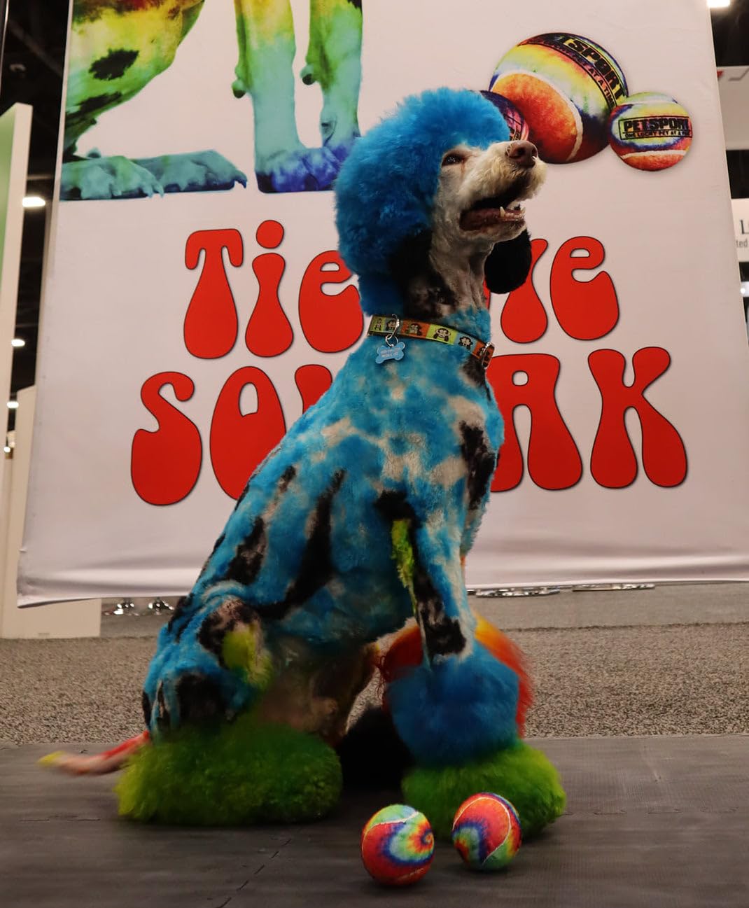 TIE DYE SQUEAK BALL 2.5 INCHES 3PK