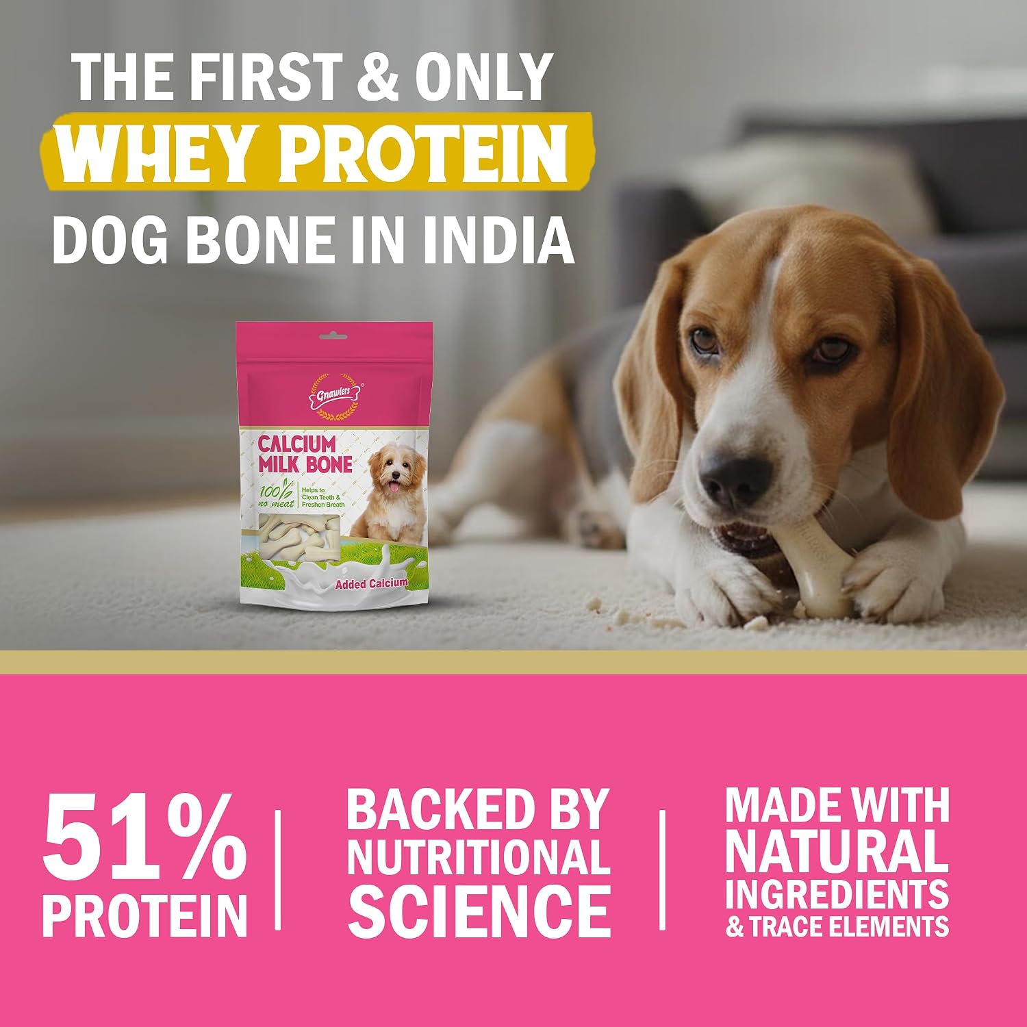 GNAWLERS CALCIUM MINI BONE 1PCS