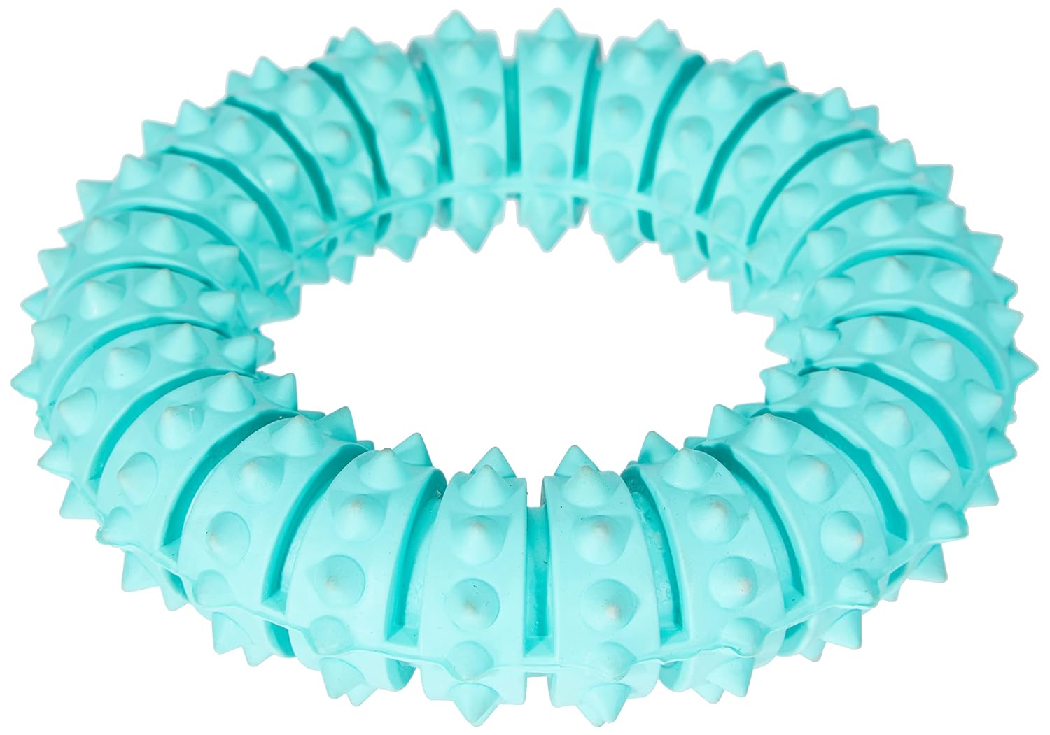 DENTA FUN RING MINT FLAVOUR NATURAL RUBBER 12CM