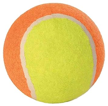 TENNIS BALL DIA 10CM DOG TOY