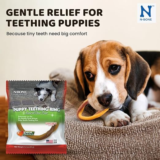 N BONE PUPPY TEETHING RING CHICKEN FLAVOUR