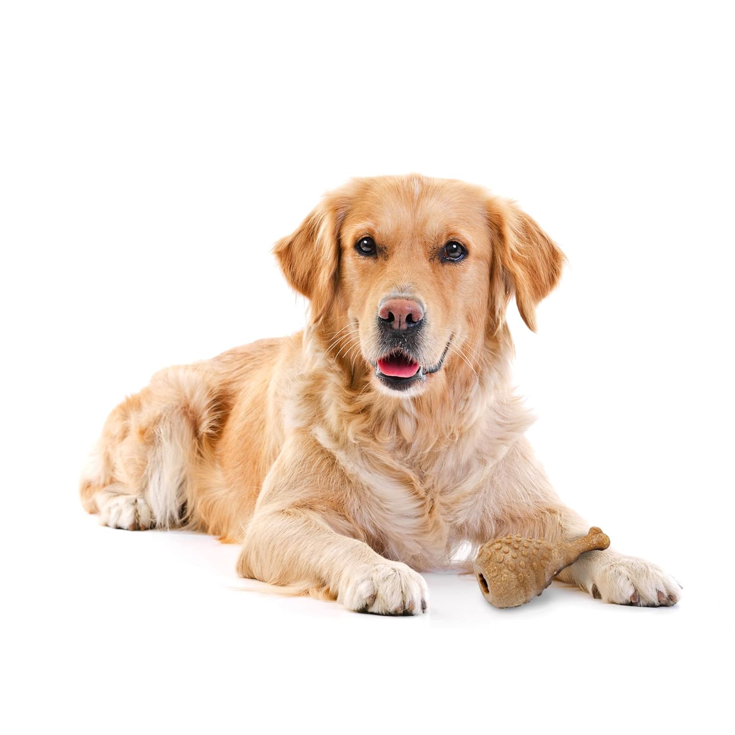 BARKBUTLER FOFOS WOODPLAY DRUMSTICK