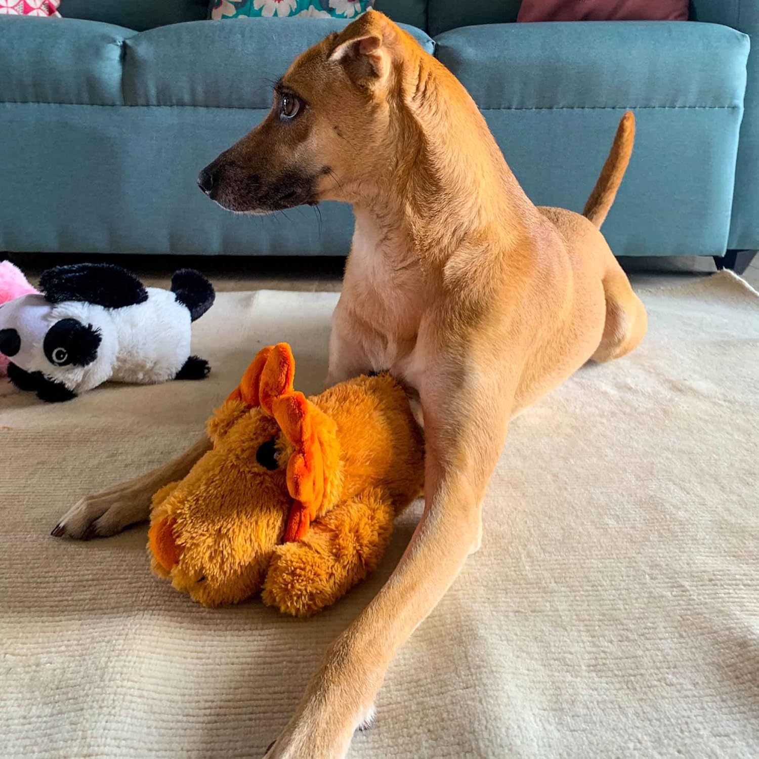 BARKBUTLER LULU THE LIONESS