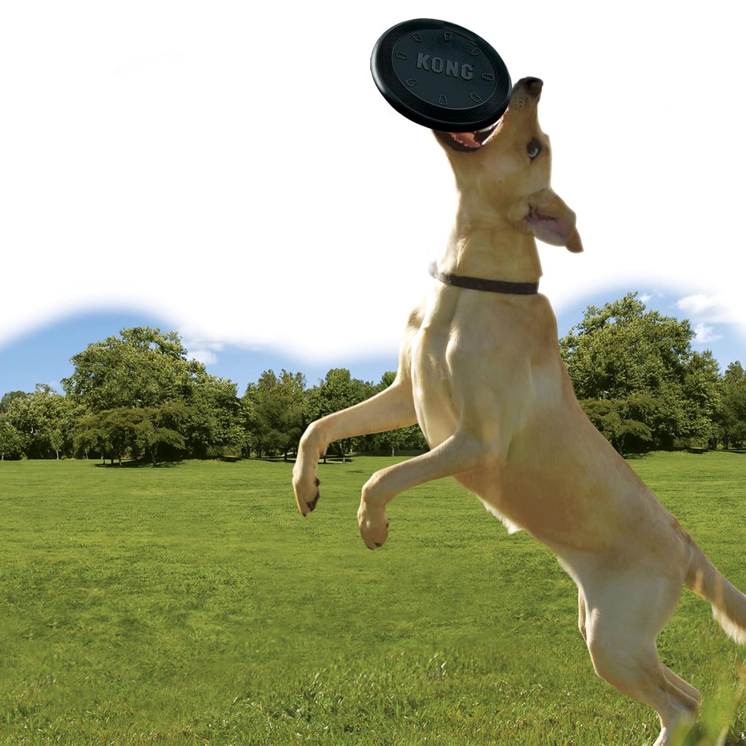 UF3 KONG EXTREME FLYER LG