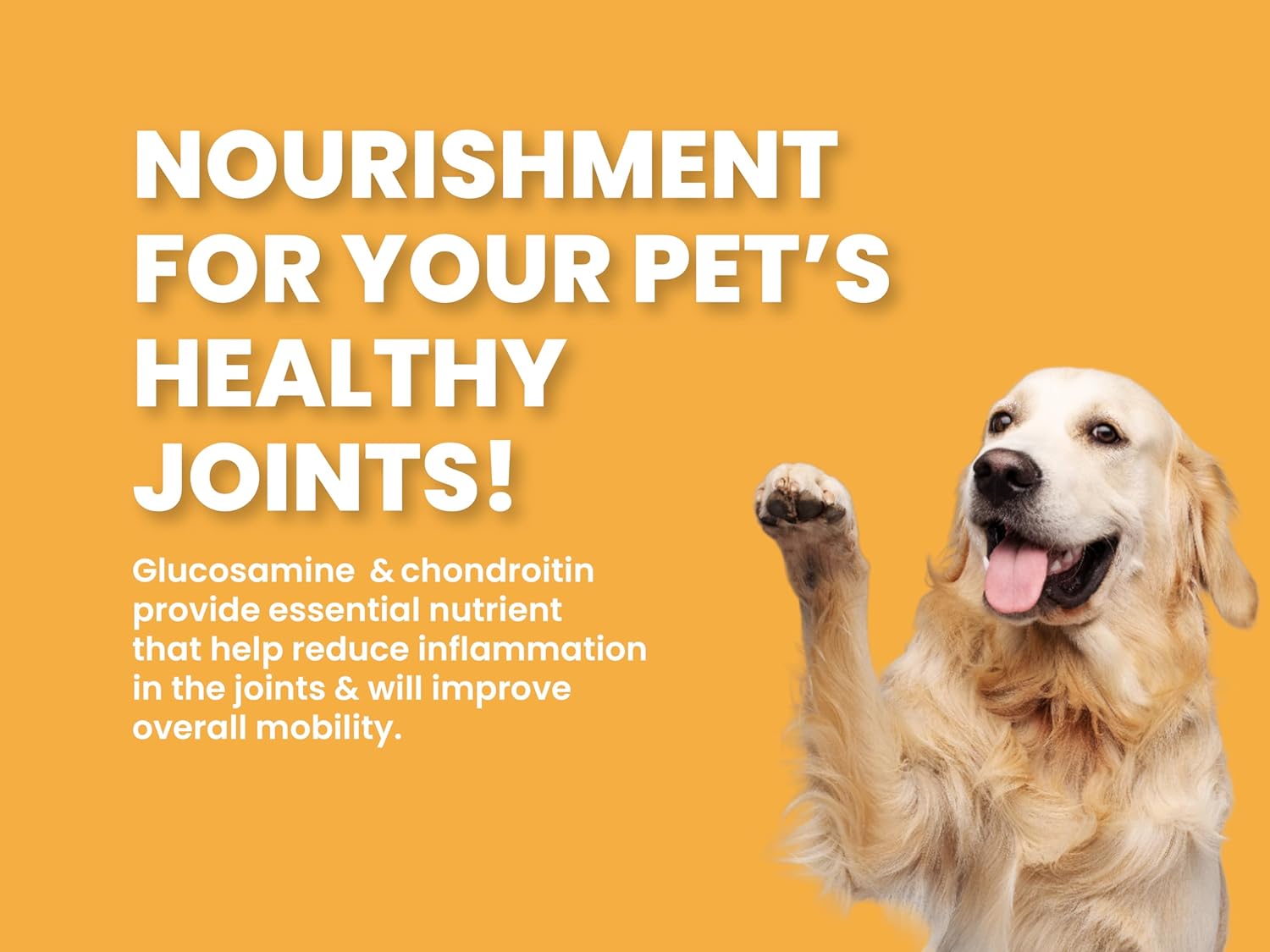 BOL PUPPY CHICKEN AND ANCIENT GRAINS 2KG