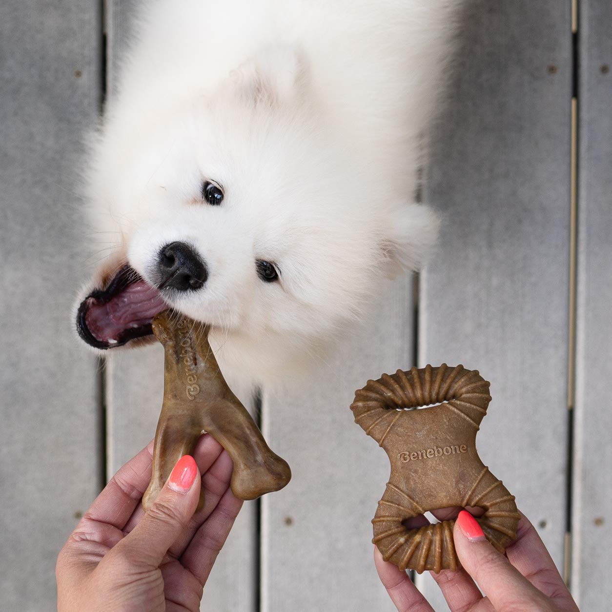 PW BENEBONE 2 PACK DENTAL CHEW WISHBONE BACON TINY