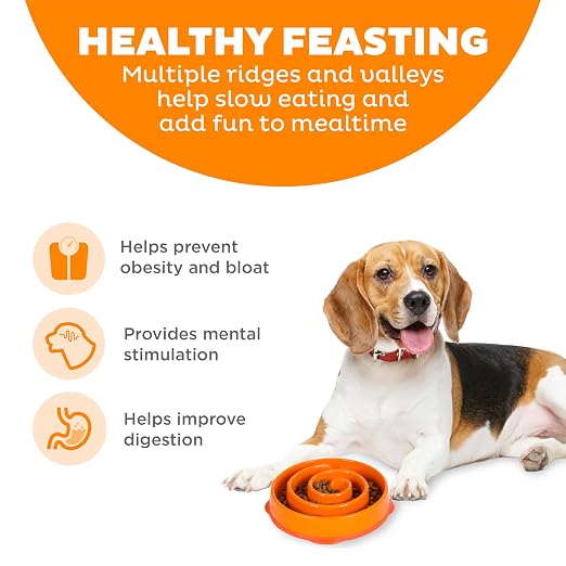 OUTWARD HOUND FUN FEEDER MINI SLOW FEED BOWL ORANGE