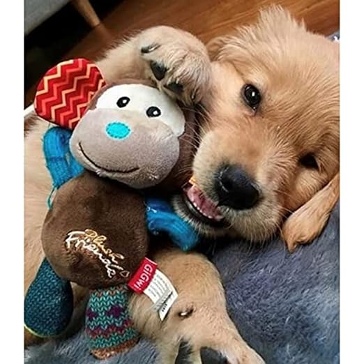 GIGWI PLUSH FRIENDZ MONKEY S M