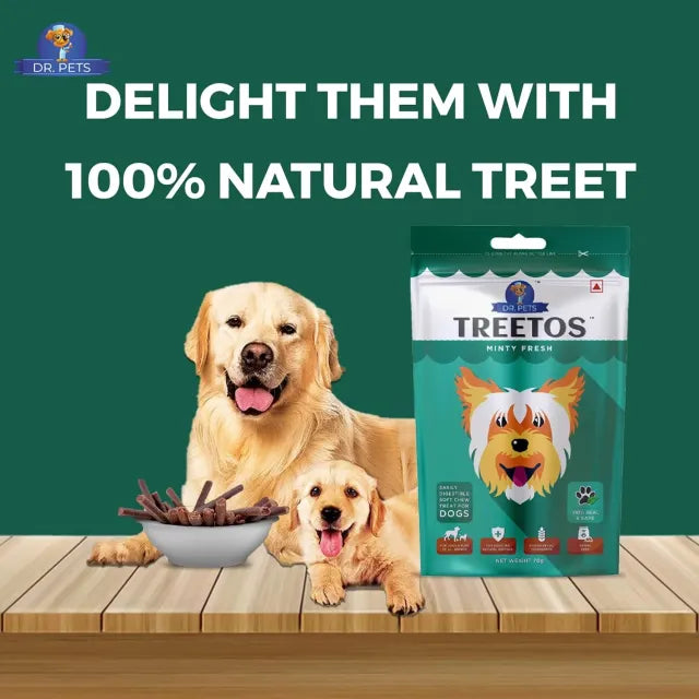 DR PET TREETOS MINTY FRESH 70G