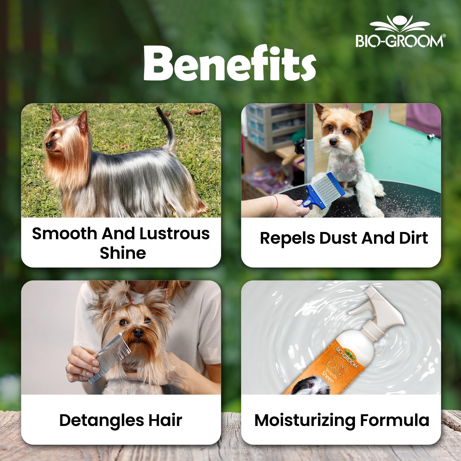 COAT POLISH SPRAY ON GLOSSER 473 ML