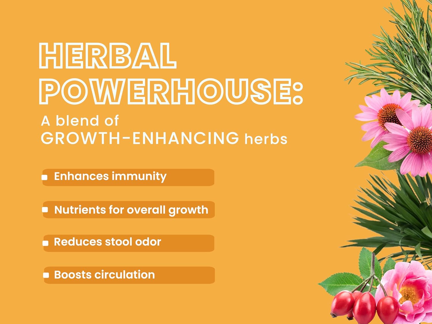 BOL PUPPY CHICKEN AND ANCIENT GRAINS 2KG