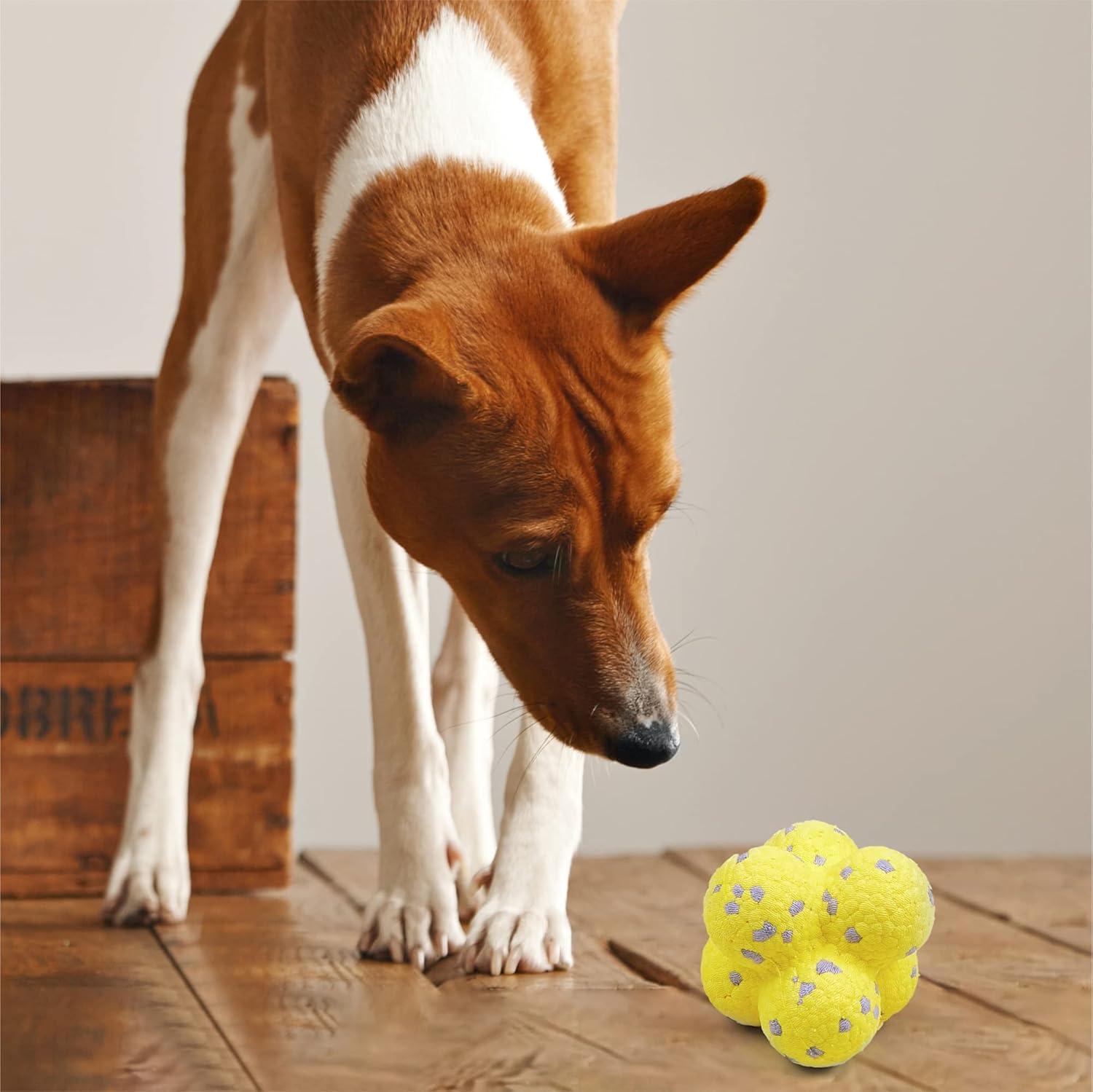 BARKBUTLER FOFOS ULTRA DURABLE DOG BALL YELLOW GREY