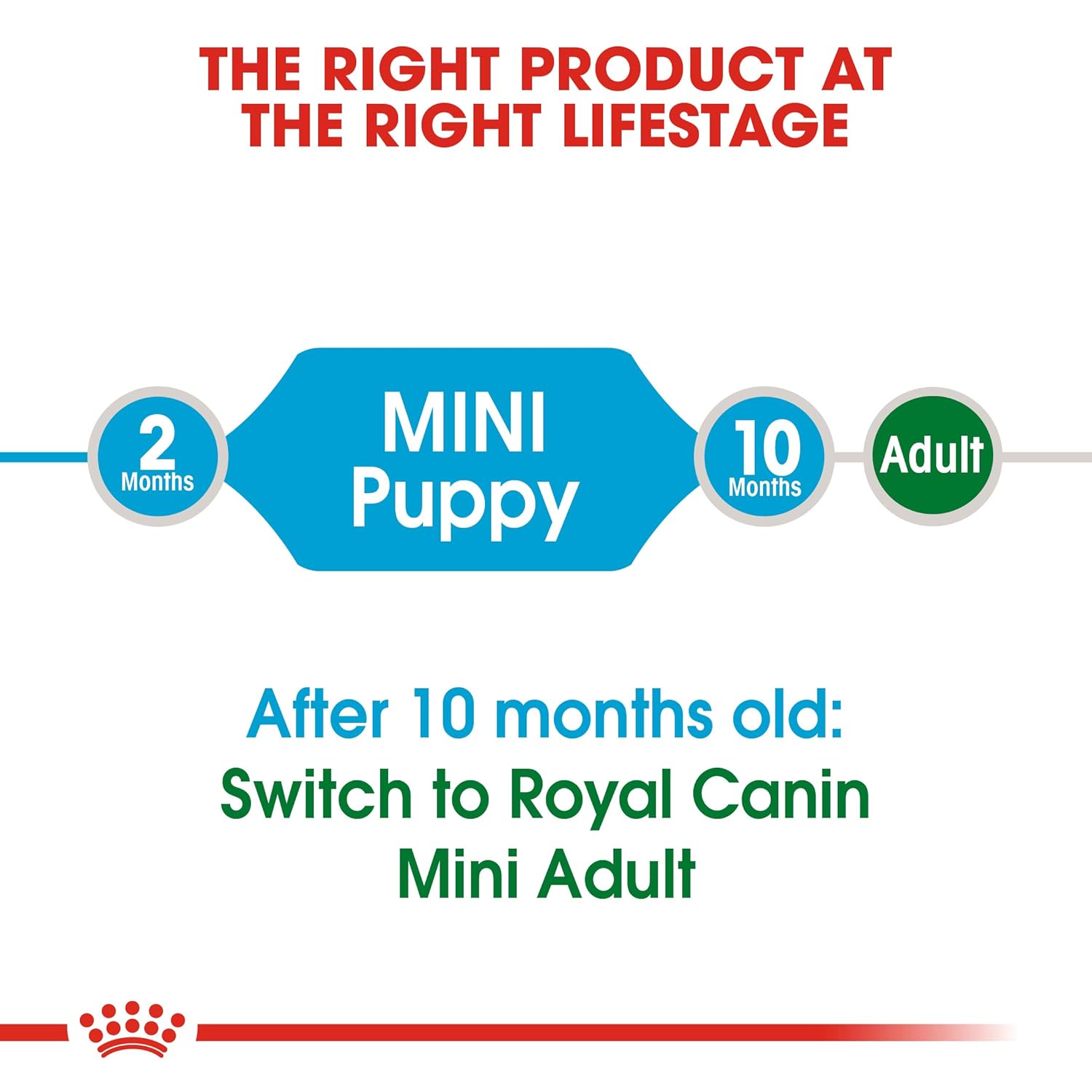 ROYAL CANIN MINI PUPPY 4 KG