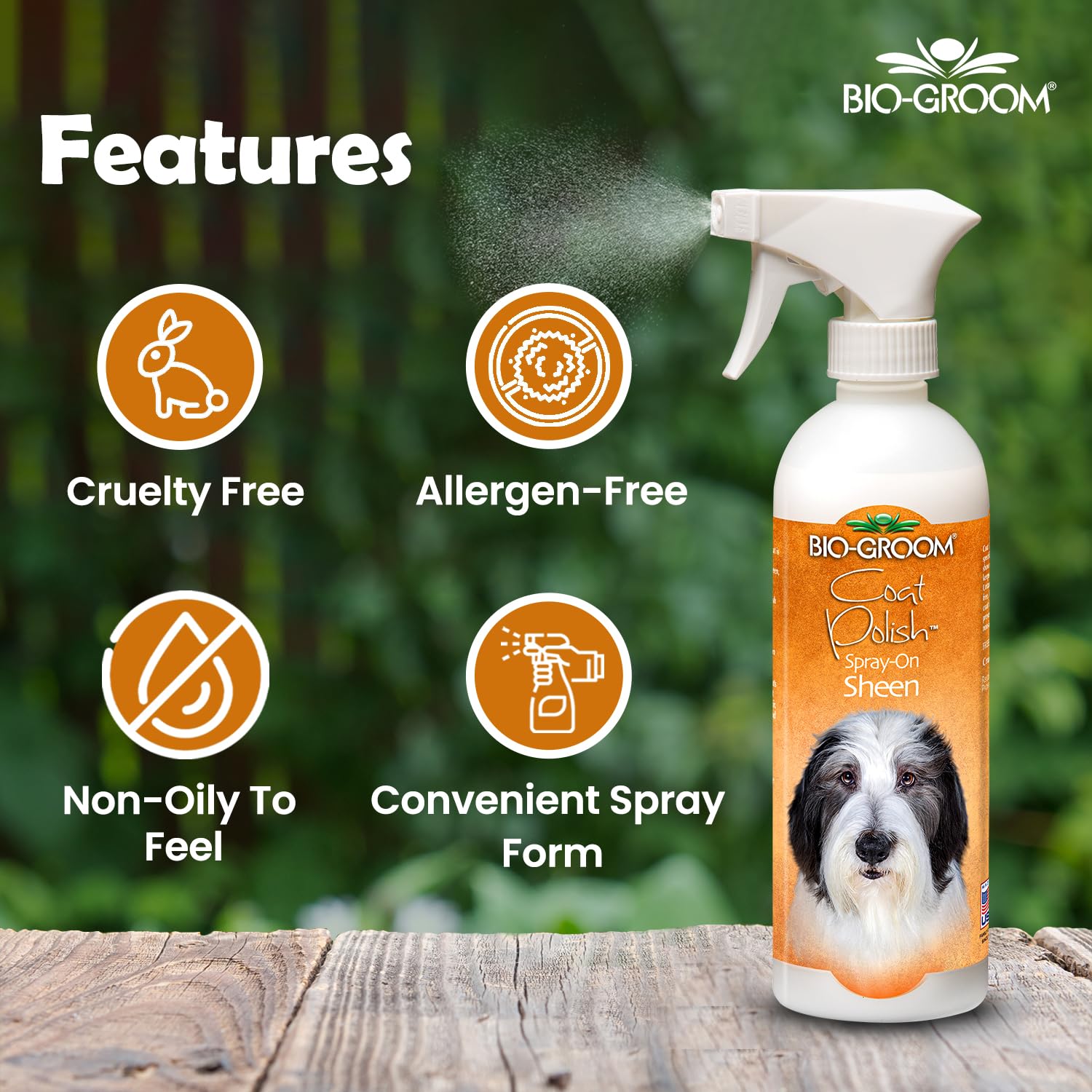 COAT POLISH SPRAY ON GLOSSER 473 ML