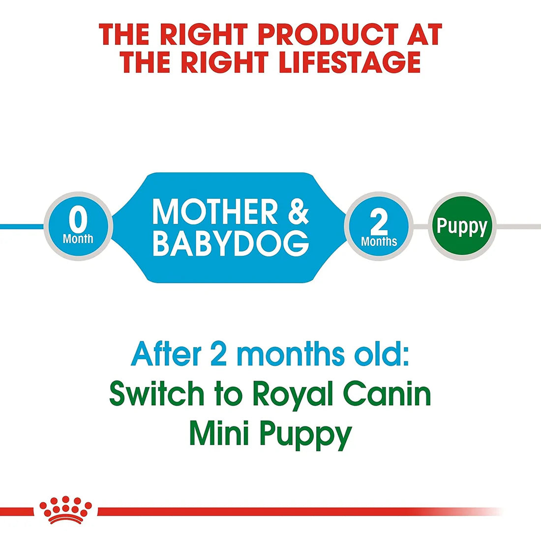 ROYAL CANIN MINI STARTER 1KG