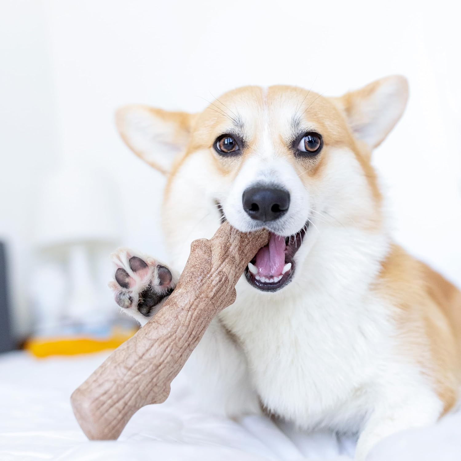 DOGWOOD DURABLE STICK LARGE 20 CM