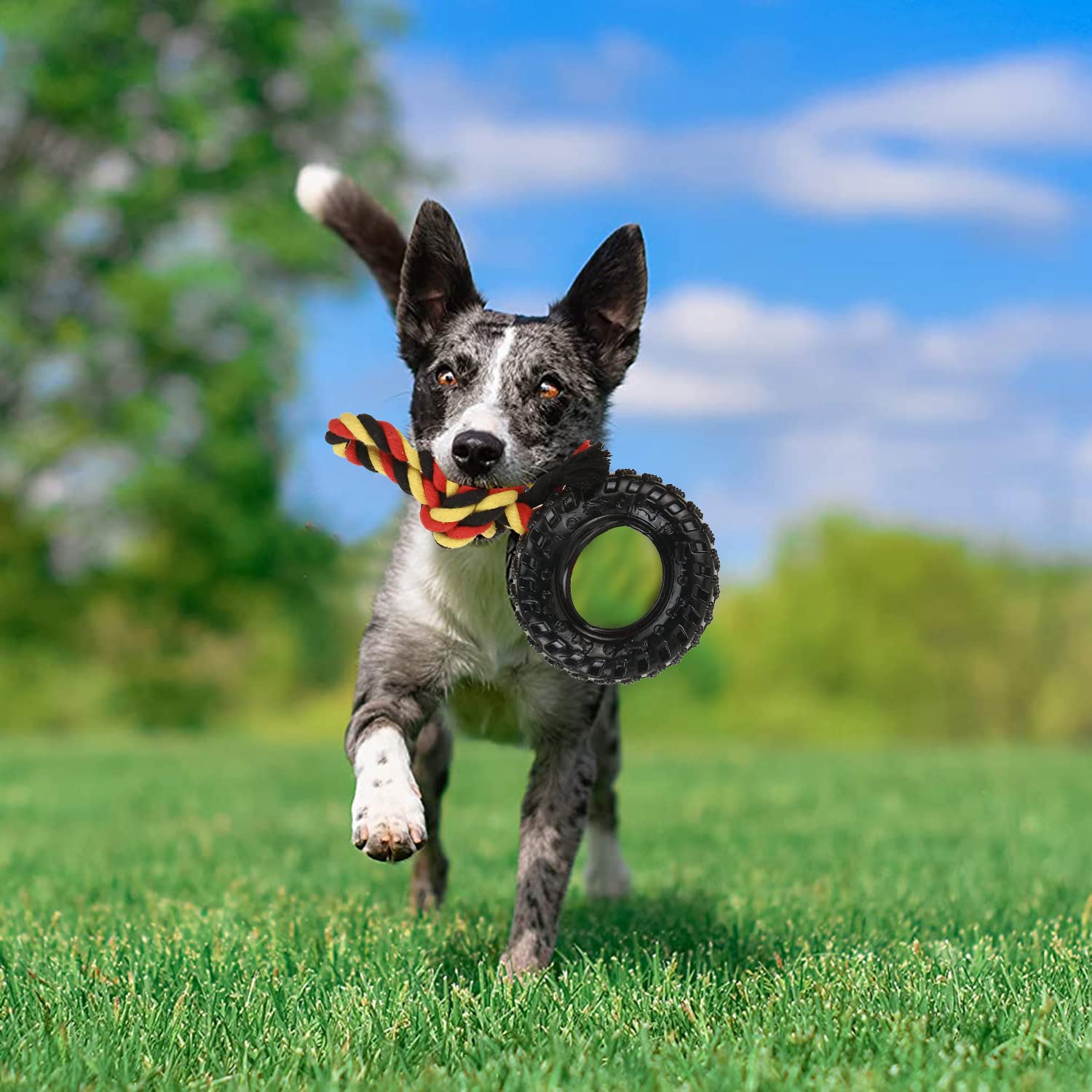 BASIL TOY TYRE WITH ROPE CHEW