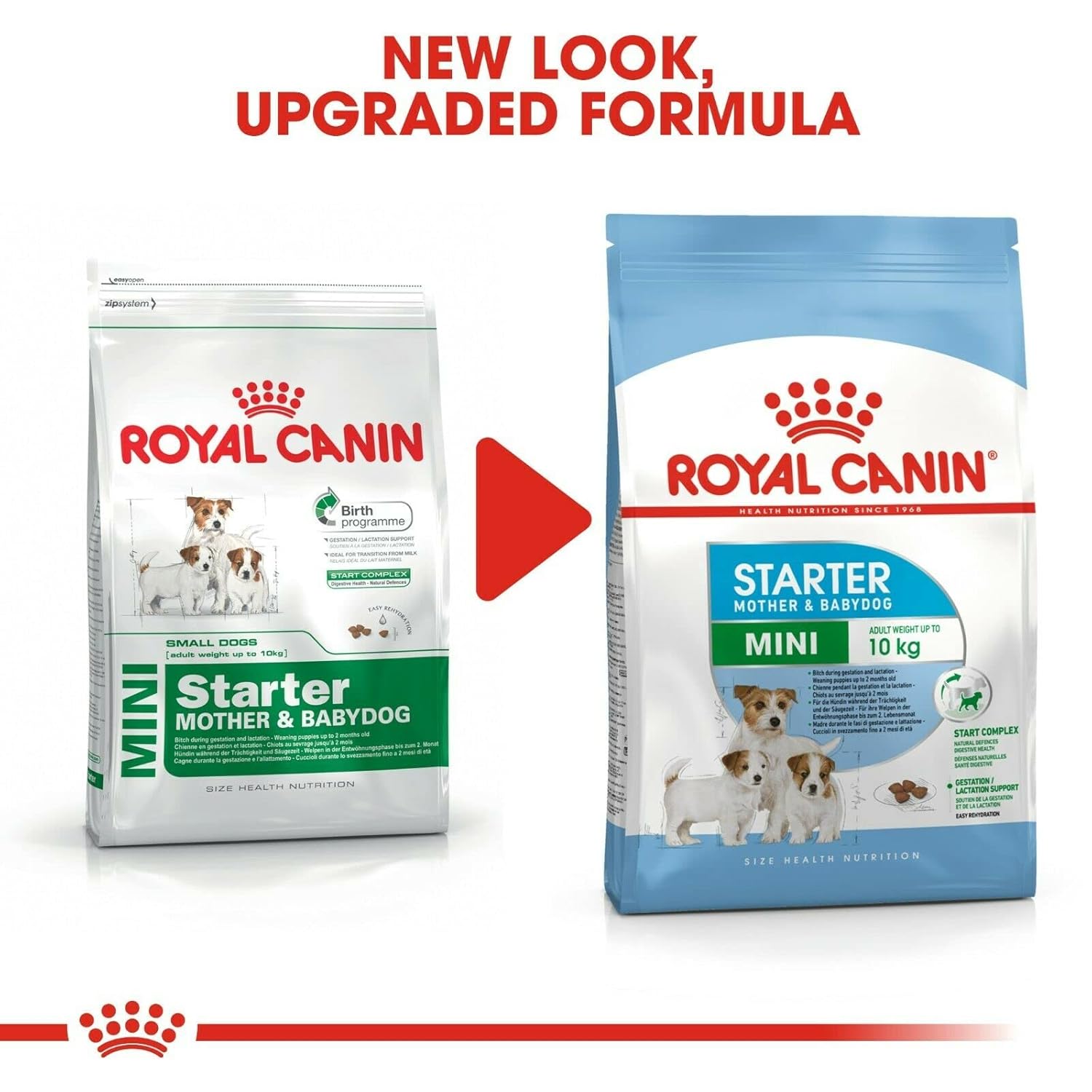 ROYAL CANIN MINI STARTER 4 KG