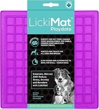 LICKIMAT PLAYDATE PURPLE
