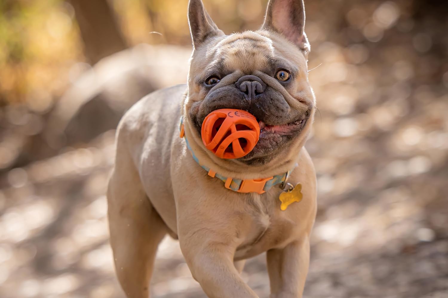CHUCKIT BREATHE RIGHT FETCH BALL SMALL 2PK