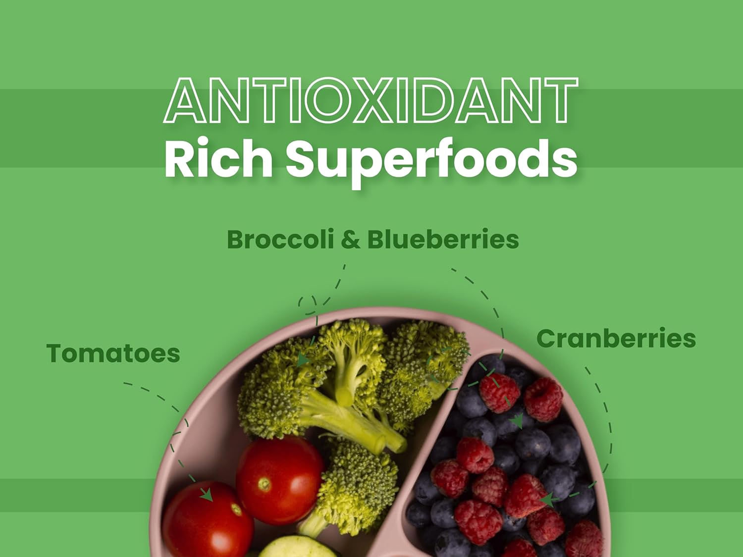 BOL PUPPY CHICKEN AND ANCIENT GRAINS 2KG