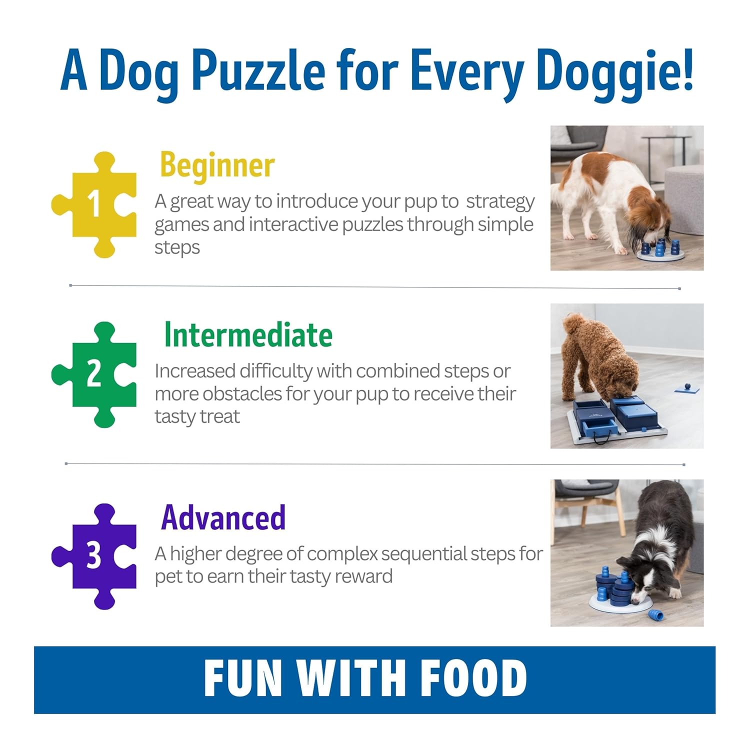 DOG ACTIVITY GAMBLE BOX STRATEGY GAME 15 15