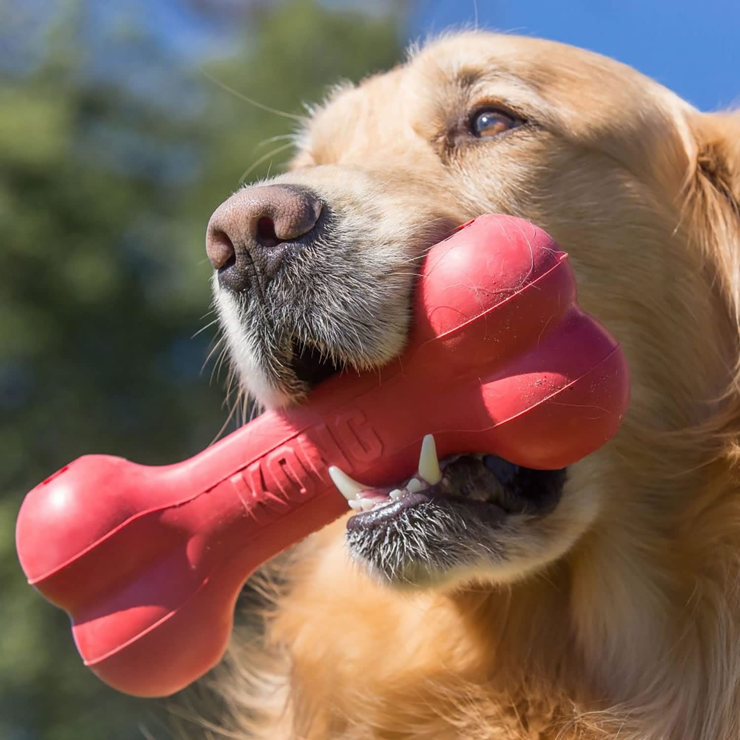 GOODIE BONE LARGE TOY
