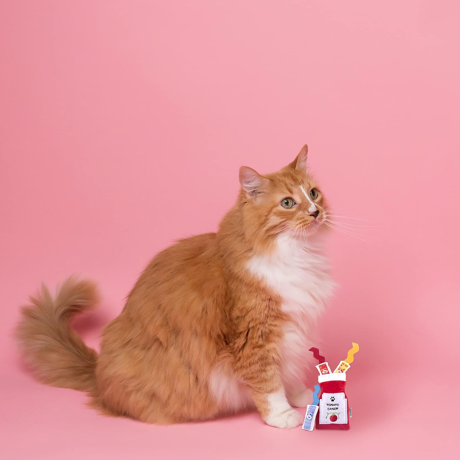 BARKBUTLER FOFOS DREAMLAND TOMACOES TOY PACK