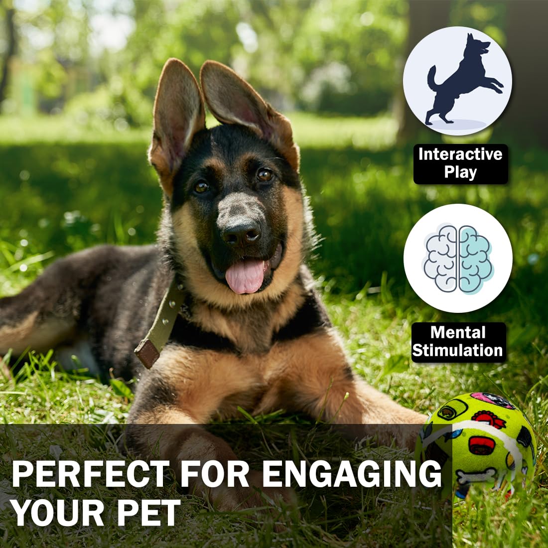 TENNIS BALLS DIA 6CM DOG TOY