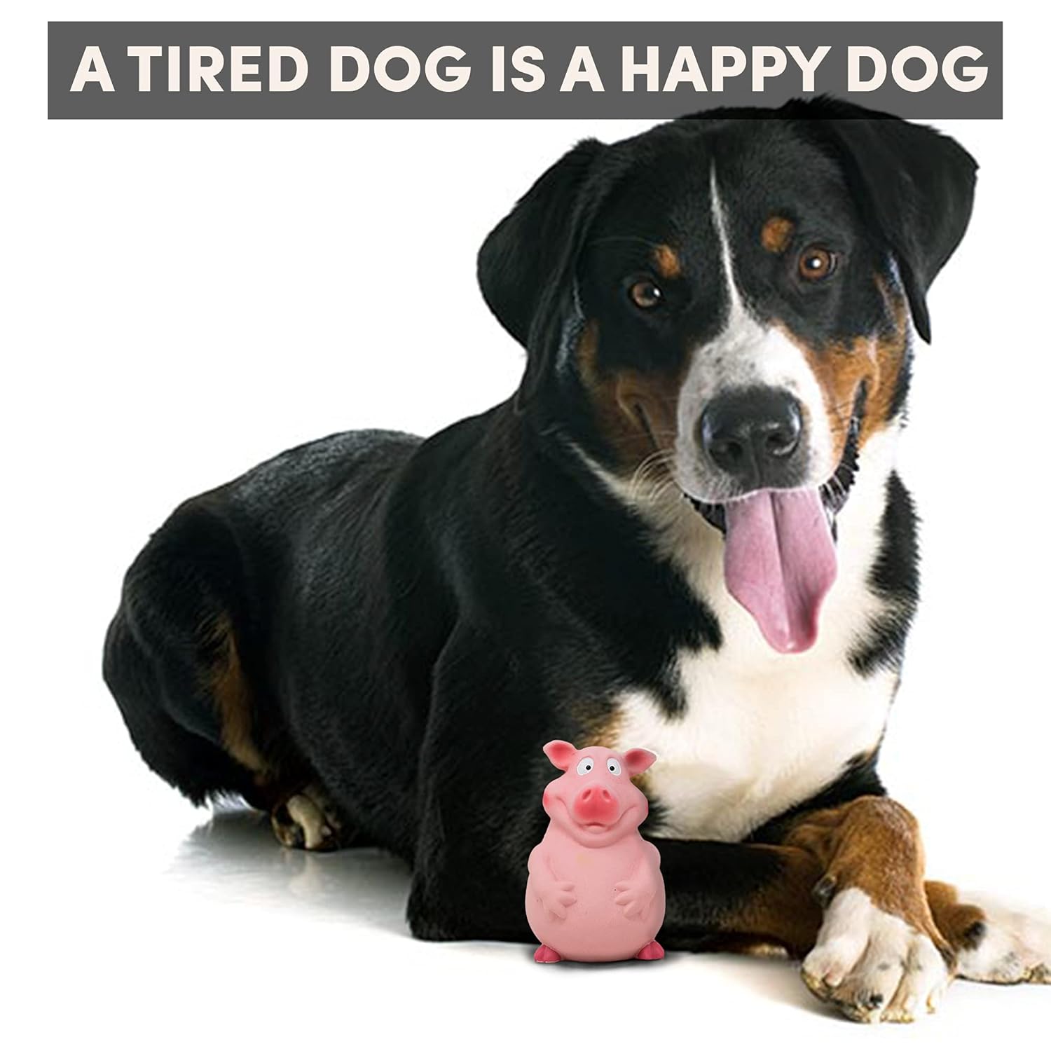 BARKBUTLER FOFOS LATEX BI TOY PIG