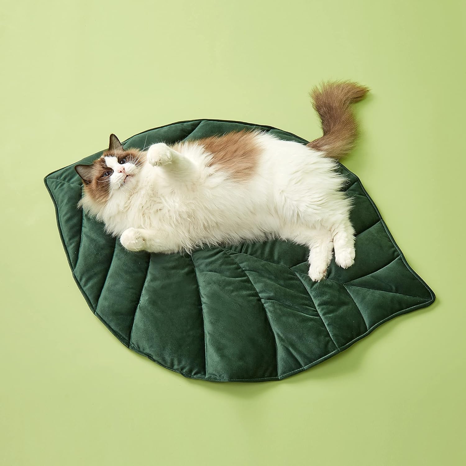 BARKBUTLER FOFOS LUXURY PET MAT GREENERY