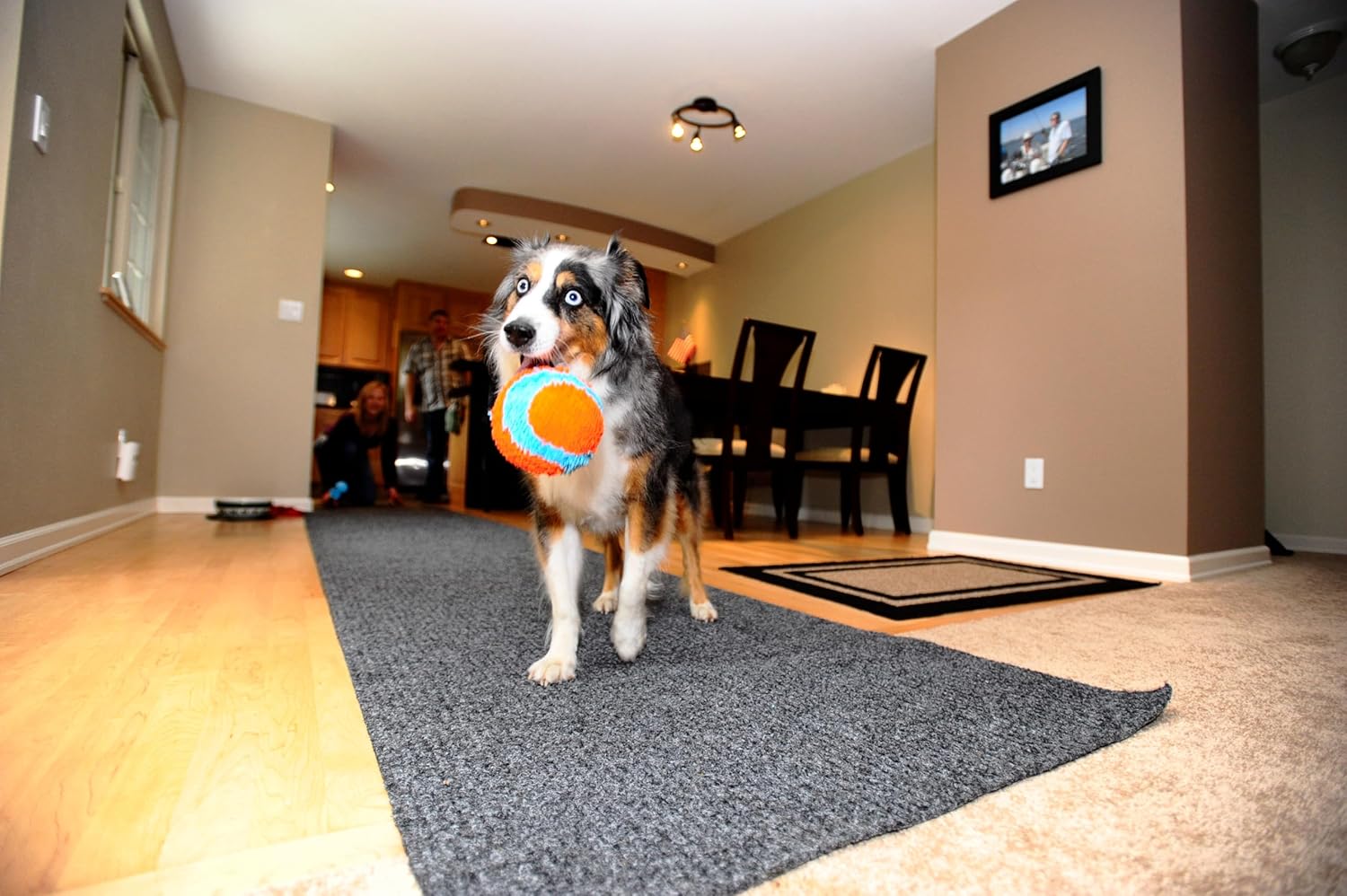 CHUCKIT INDOOR BALL